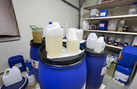 另类工艺 探秘水蛭唾液提取与牙科材料的跨界融合工厂